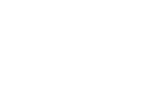 Logo LausitzRetter